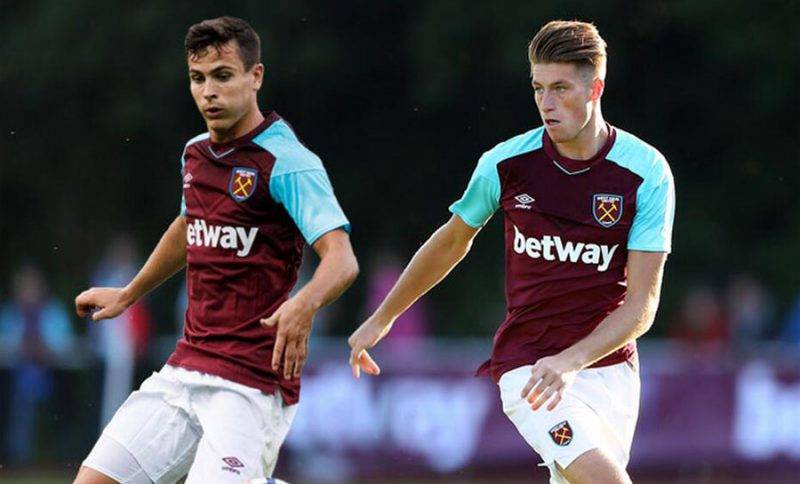 健康水平的 健康水平的